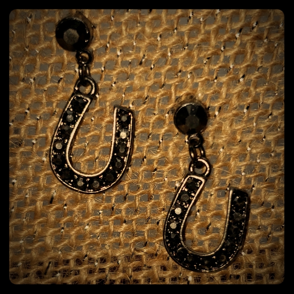 ✔️Black horseshoe stud style earrings